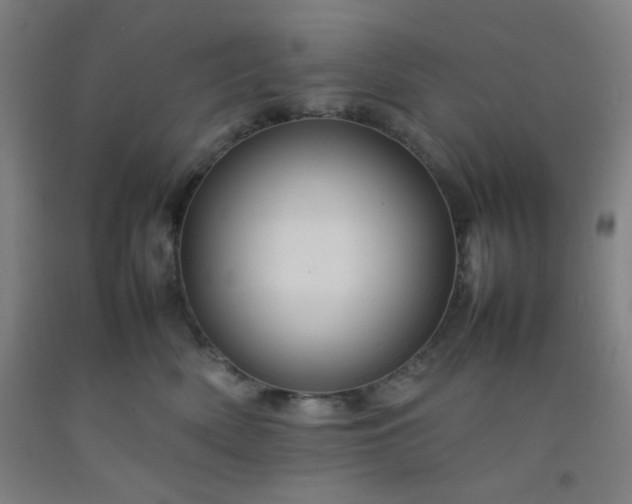 X0000092210522200709281026