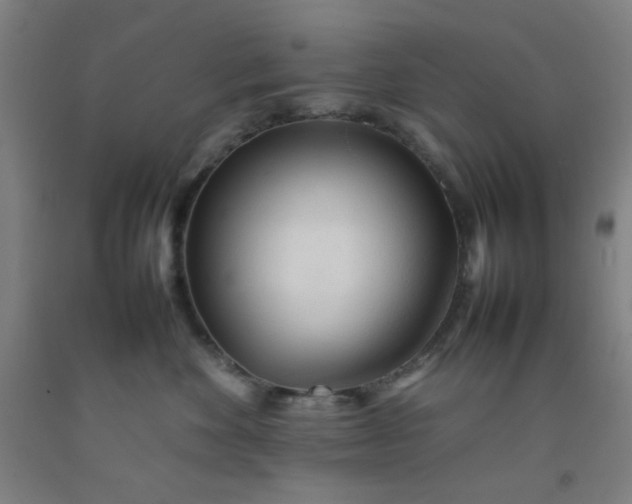 X0000092210524200709281026