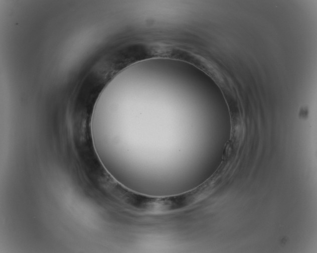 X0000092210525200709281026