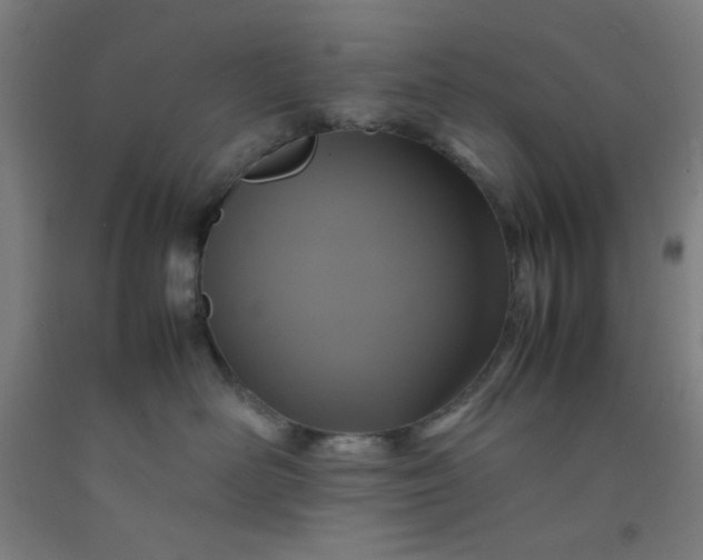 X0000092210526200709281026