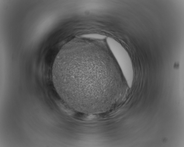 X0000092210527200709281026