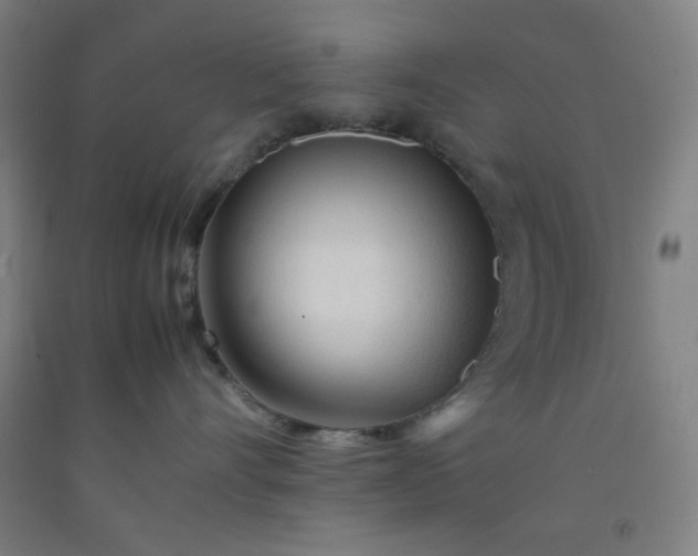 X0000092210528200709281026