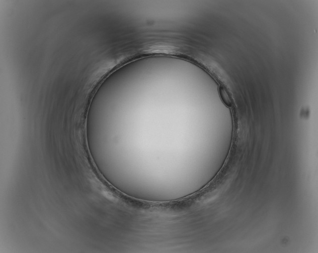 X0000092210529200709281025