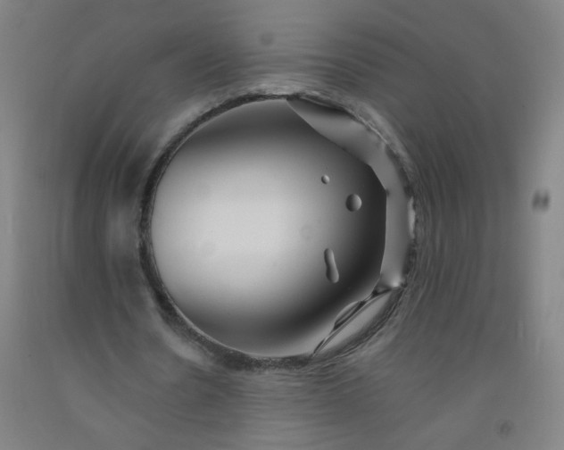 X0000092210530200709281025