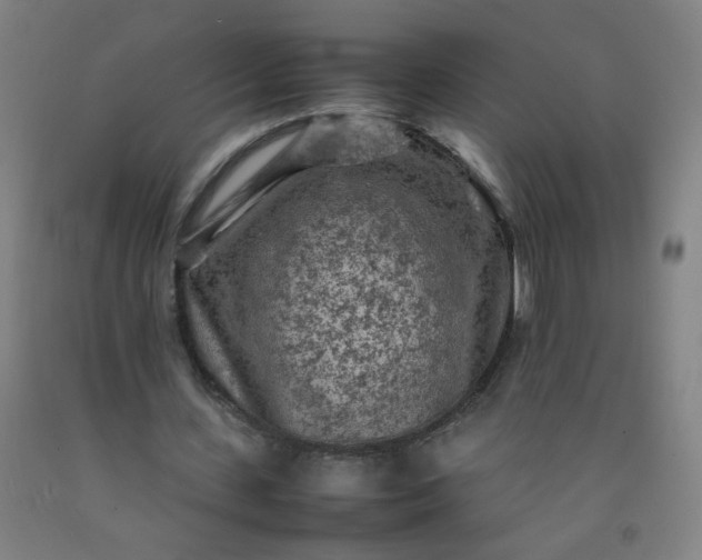 X0000092210531200709281025