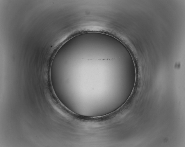 X0000092210533200709281025