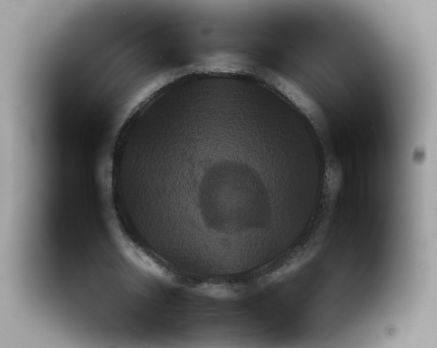 X0000092210534200709281025