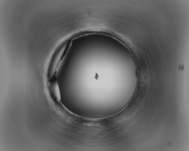 X0000092210535200709281025