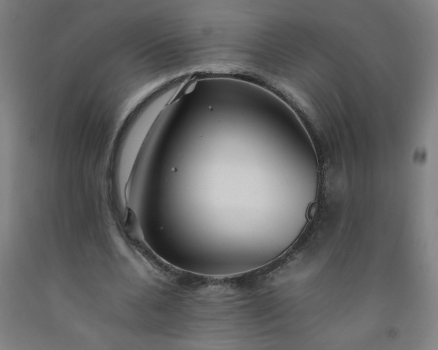 X0000092210536200709281025