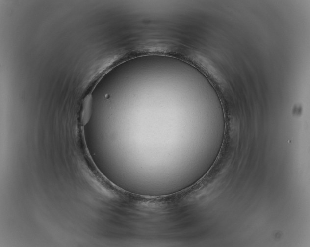 X0000092210537200709281025