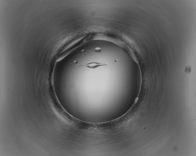 X0000092210538200709281025