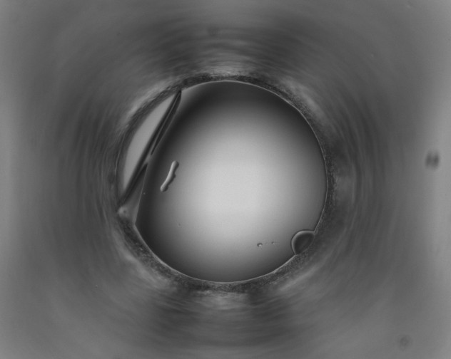 X0000092210539200709281025