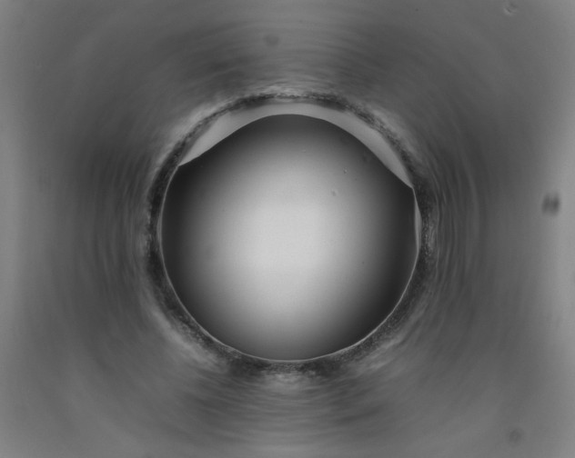 X0000092210540200709281025