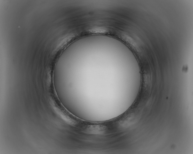 X0000092210541200709281025