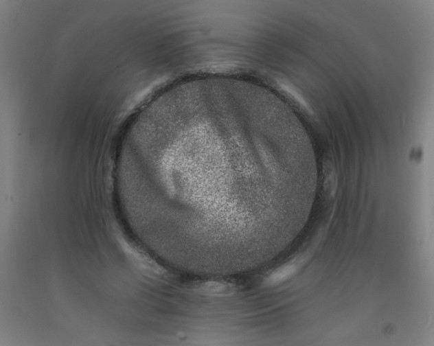 X0000092210542200709281025