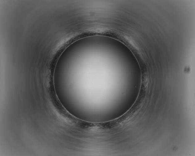 X0000092210544200709281025