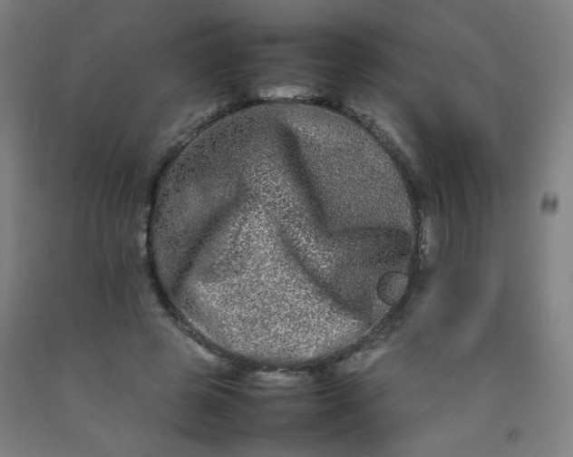 X0000092210545200709281025