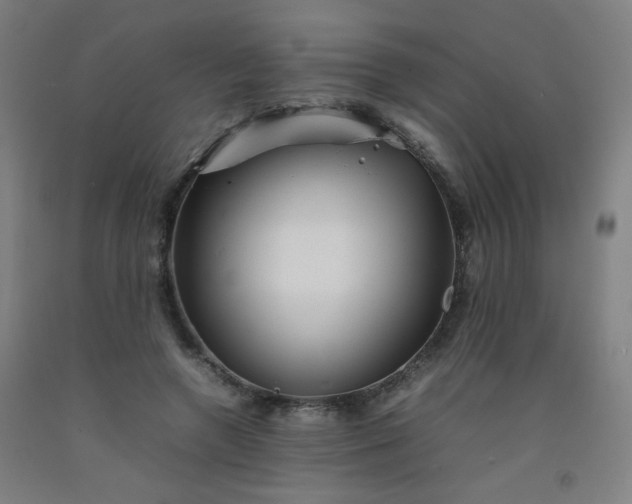 X0000092210546200709281025