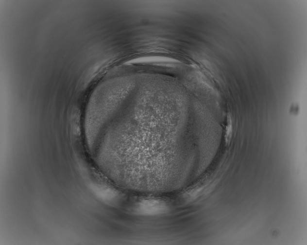 X0000092210547200709281025