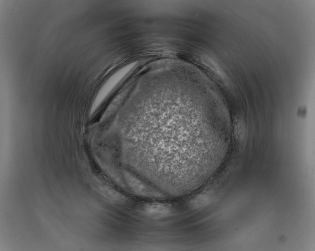 X0000092210549200709281025