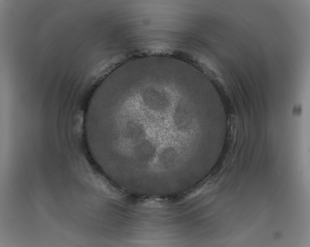 X0000092210550200709281025