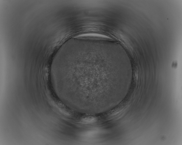 X0000092210551200709281025