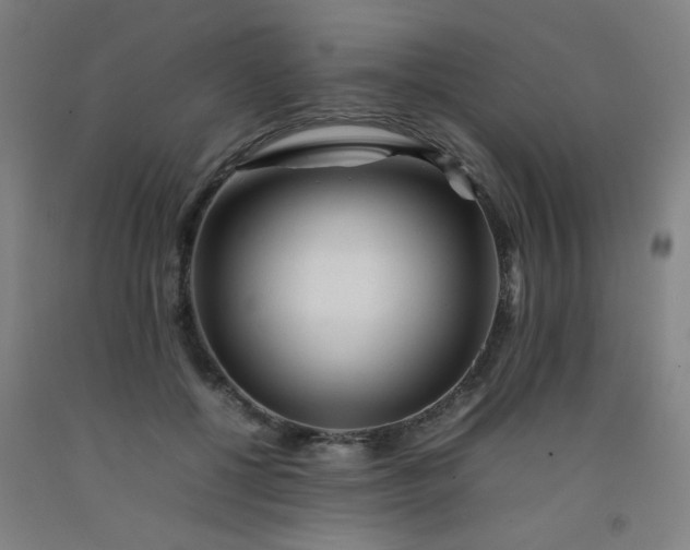 X0000092210552200709281025