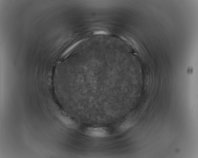 X0000092210553200709281025