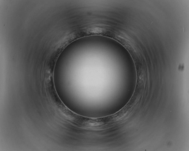 X0000092210555200709281025