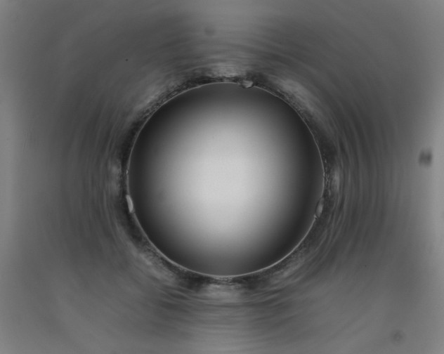 X0000092210556200709281025