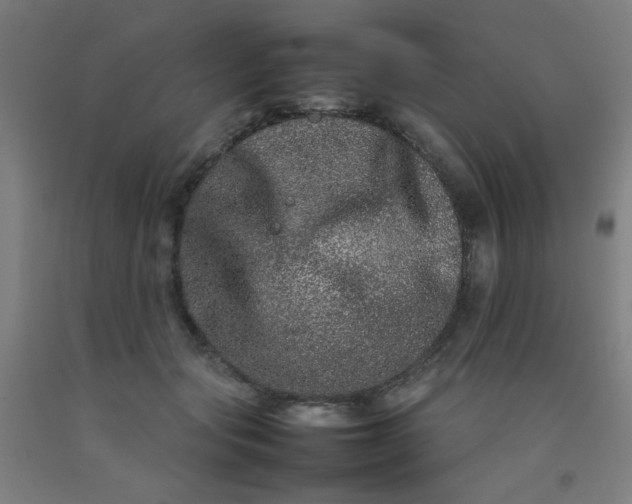 X0000092210557200709281025