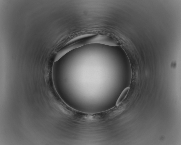 X0000092210558200709281025