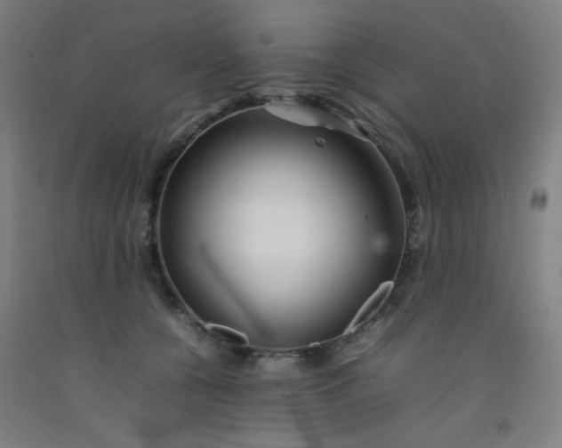 X0000092210560200709281025