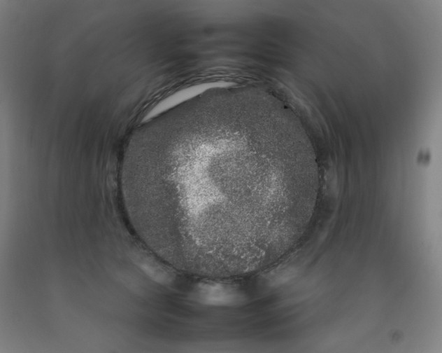 X0000092210561200709281025