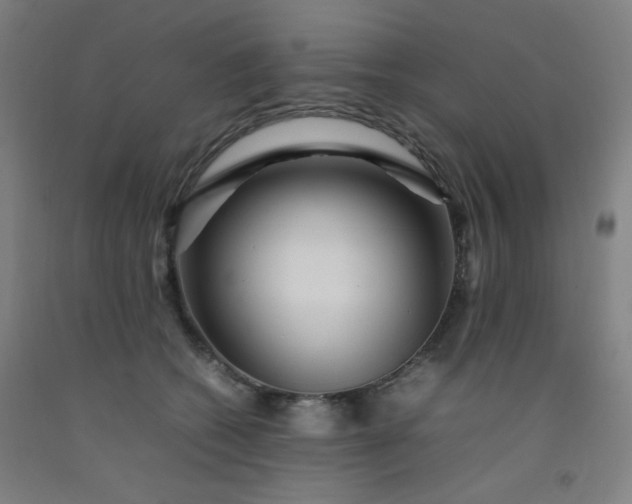 X0000092210562200709281025