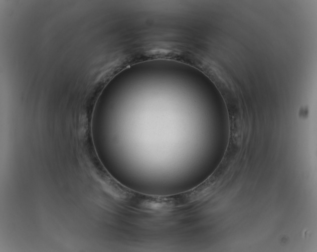 X0000092210563200709281025