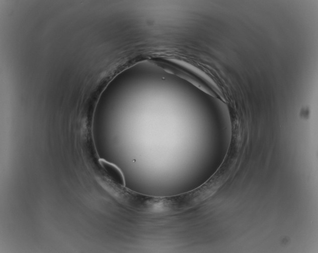 X0000092210564200709281026