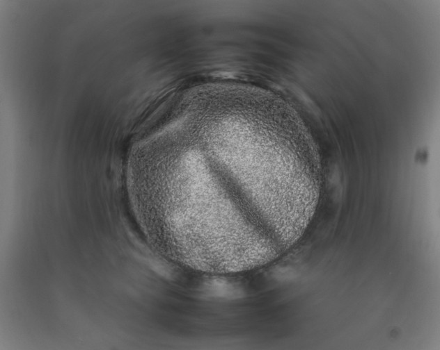 X0000092210565200709281026