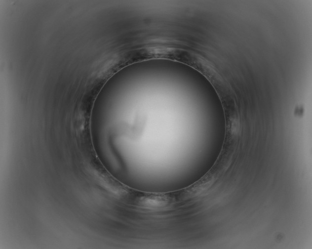 X0000092210567200709281026