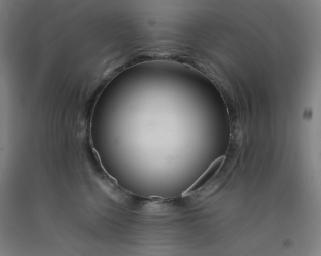 X0000092210568200709281026