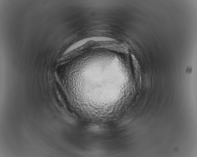 X0000092210569200709281026