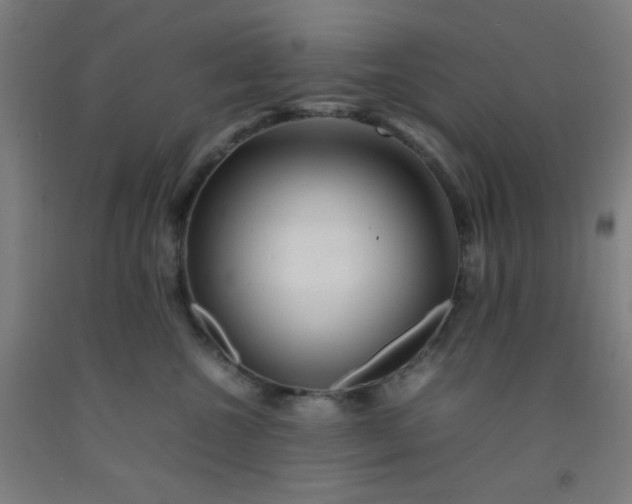 X0000092210572200709281026