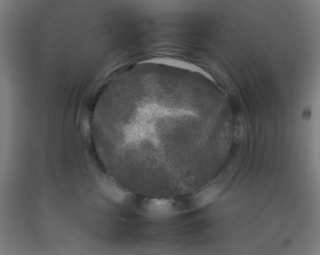 X0000092210573200709281026