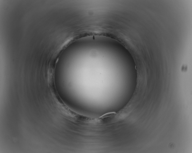 X0000092210576200709281026