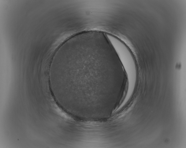 X0000092210577200709281025