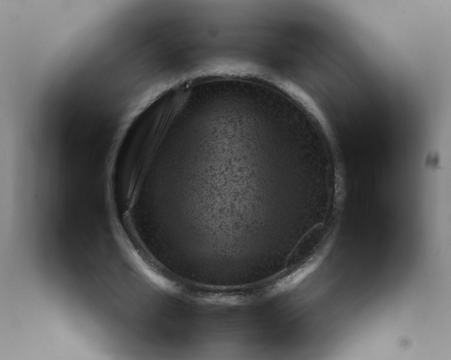 X0000092210581200709281025