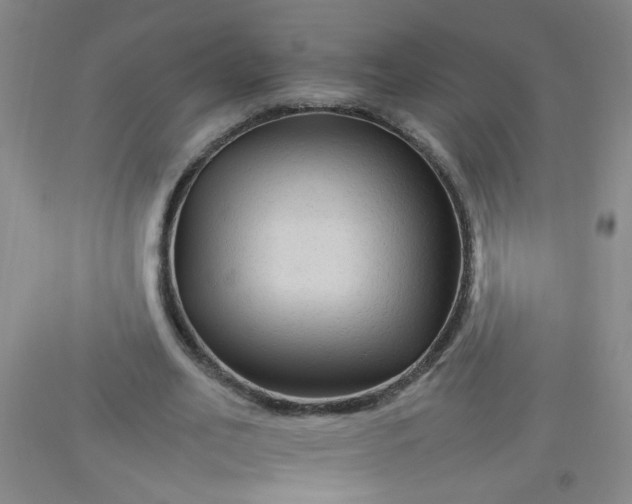 X0000092210582200709281025