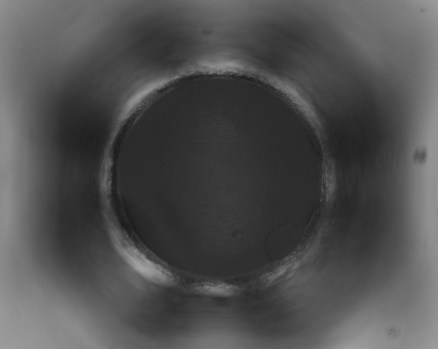 X0000092210583200709281025