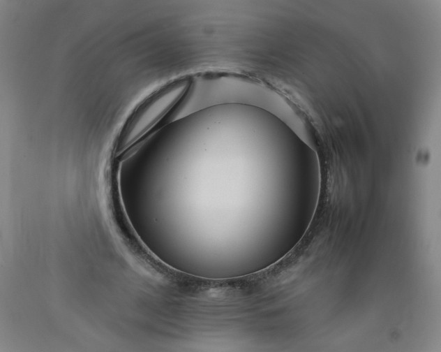 X0000092210584200709281025