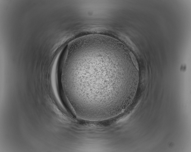 X0000092210585200709281025